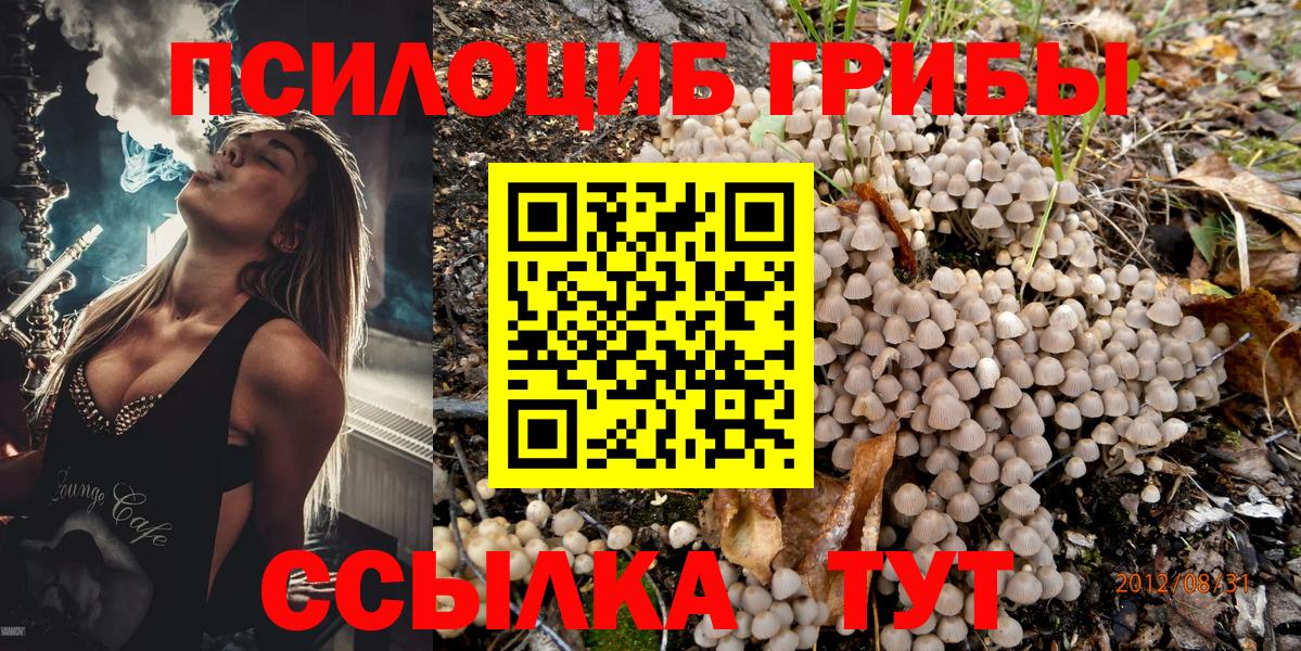 Псилоцибиновые грибы MAGIC MUSHROOMS Шелехов