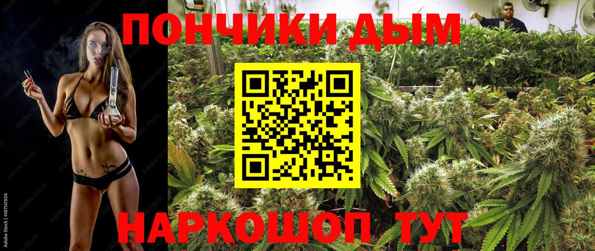 Шелехов  Бошки марихуана AK-47  Марихуана Bruce Banner  Марихуана VHQ  Марихуана Amnesia  Вход с VPN 